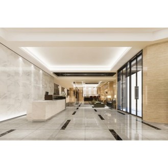 Serene Entry Reception Hotel Reception