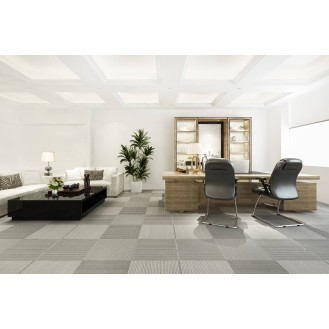 Modern Executive Elite Studio Office