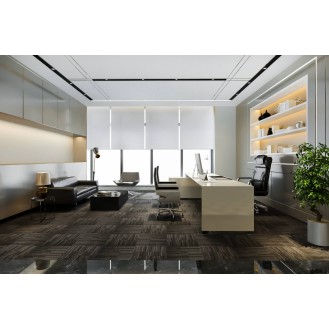luxurious executive or CEO office design