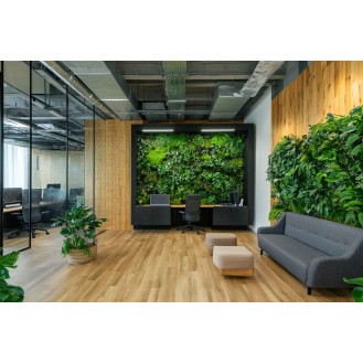 Modern office interior designed with biophilic elements